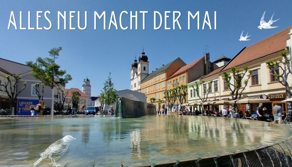 Das war mein Mai #1